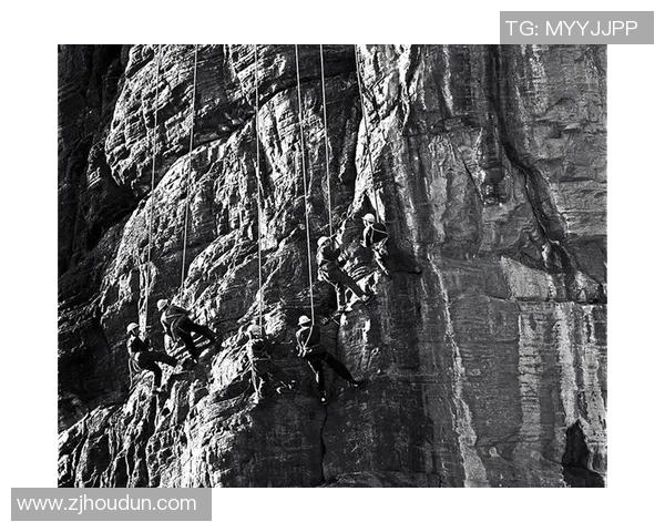 深圳排球队逆袭之旅揭示团队精神与奋斗的力量