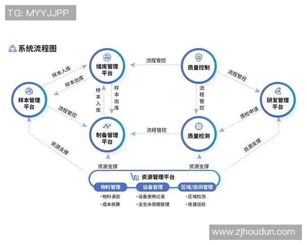 深圳羽毛球队区域防守革新之路探索与实践分析 深圳羽毛球队区域防守革新之路探索与实践分析