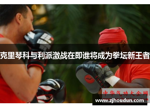 克里琴科与利派激战在即谁将成为拳坛新王者